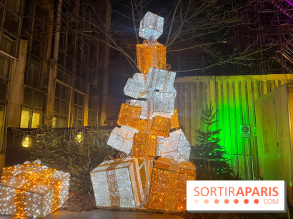 Bel Hiver Saint-Denis 2024 - nos photos - image00017