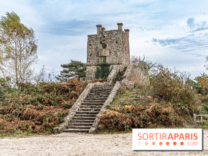 Randonnée à Fontainebleau : le sentier sur les pas de Denecourt jusqu’à la Tour Denecourt -  A7C7600