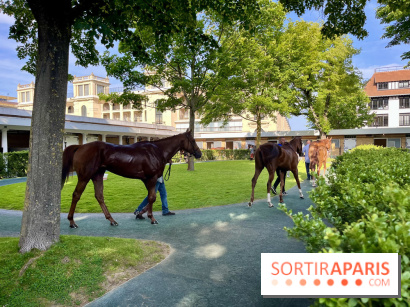 Jeuxdi by Longchamp - chevaux