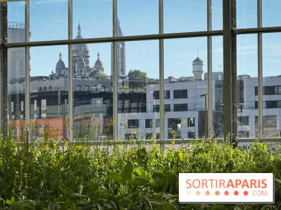 Rooftop Plantation Paris