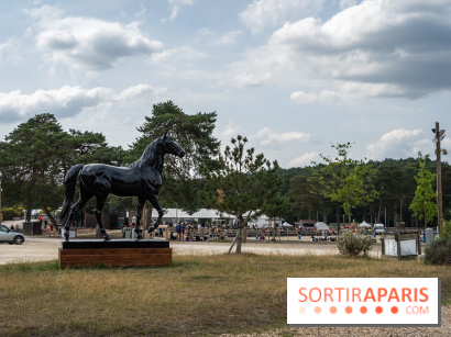 Le Grand Parquet Fontainebleau - photos  - A7C02547