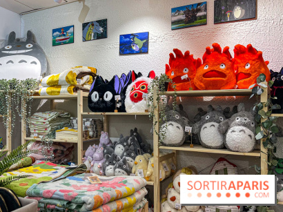 Maison Ghibli : le pop-up store officiel du studio d'animation japonais à Paris - A8AC8D84 B566 44BC 979F A8C8448B8CEC