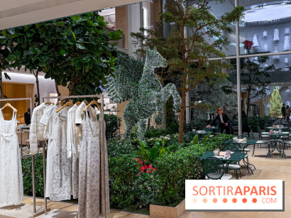 Noël 2025 Dior 30 Montaigne - IMG 1956