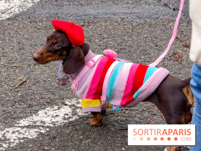 Paris Sausage Walk, la Marche des Teckels 2025