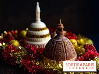 Les bûches de Noël glacées de Bachir spécial dômes parisiens  - A7C03412