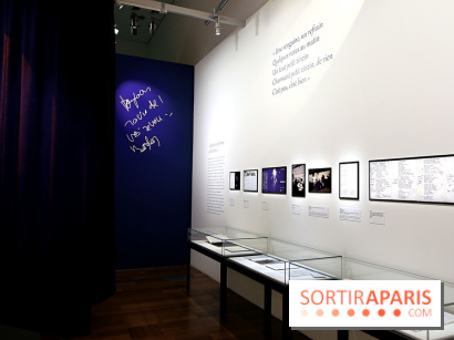 Dis quand reviendras-tu ? Barbara et son public, nos photos de l'exposition à la BnF François-Mitterrand  - Barbara Expo 7 fotor 2026012715484