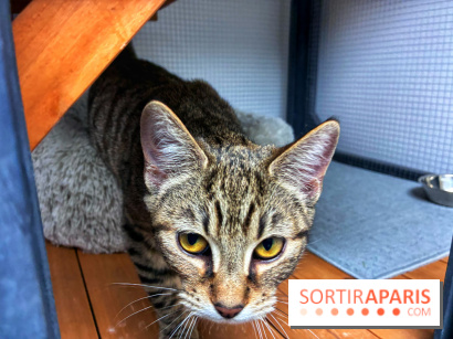 Le Chatelier  - IMG 2495