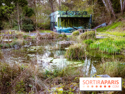 Le jardin botanique de Launay et arboretum de l'Université Paris Saclay à Orsay - les photos - A7C09562