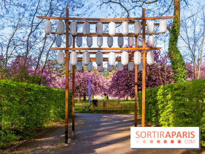 Hanami au Parc de Sceaux 2026, les cerisiers en fleurs et ses  animations - A7C01616 HDR