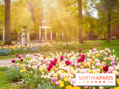 Le Château de Buc et son superbe domaine, parc paysagé aux nombreux trésors - A7C03157 Edit