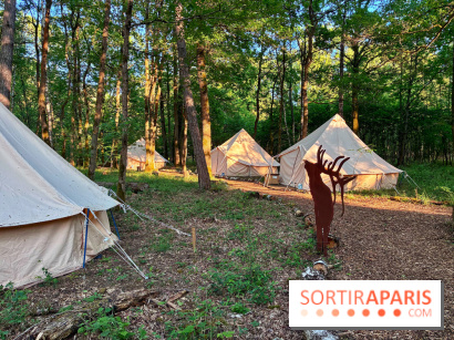 Bivouac avec les loups
