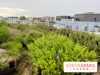 L'aromathèque Persépolis, sur le toit de la bourse du travail à Saint-Denis - nos photos