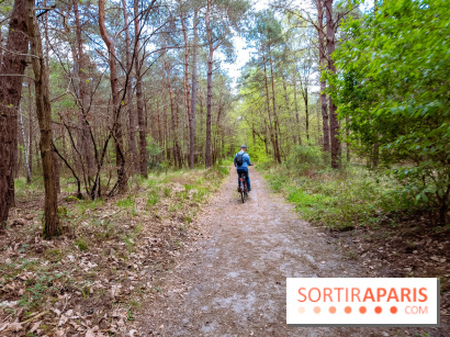 Liaisons douces à Fontainebleau : la forêt à vélo, les photos