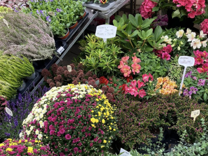 La Fête des Plantes de Viroflay 2026 (78)