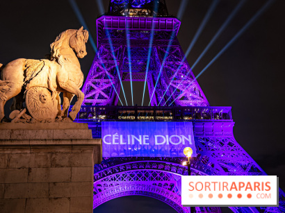 Concert de Céline Dion : 9 millions de pré-inscriptions, un record !