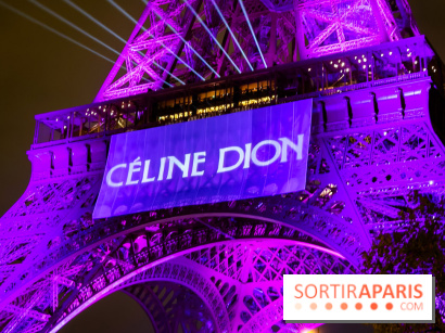 Céline Dion en concert à Paris, pourquoi la jaune est réduite ? 