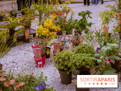 Jardins en fête à Auvers 91