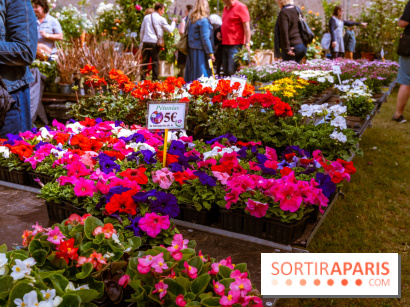 Fête des plantes de Méry