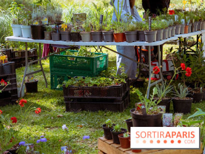 Les Naturiales 2026 à Fontainebleau : marché de plantes et animations nature en Seine-et-Marne