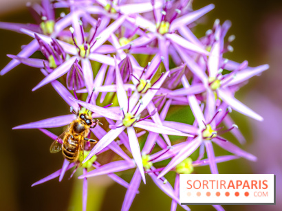 La Fête de la Nature et du bien-être animal vous attend ce samedi en Val-de-Marne