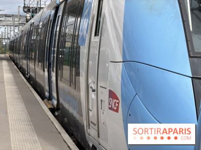 Transports à Paris et Ile-de-France cette semaine, les perturbations métro, RER du 15 au 21 juin 2026