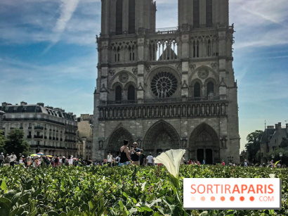 Réouverture du Parvis et de la rue du Parvis de Notre-Dame de Paris