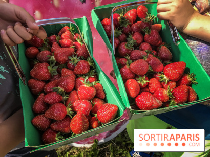 Cueillettes des fraises autour de Paris
