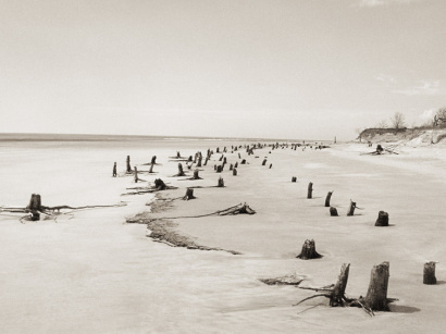 Corps littoral : l'exposition de Camille Guichard à la galerie Rachel Hardouin