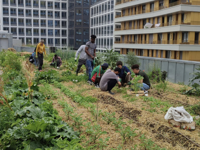 Eva Kotchever, le potager perché sur le toit d'une école qui se cultive à Paris
