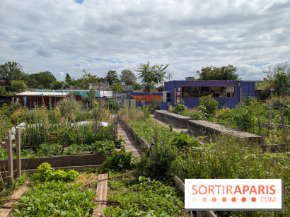 Terre Terre, la ferme-guinguette qui pousse au bord du canal à Aubervilliers (93)