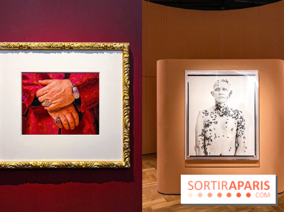 Fragiles beautés : la collection de photos d'Elton John exposée au Jeu de Paume