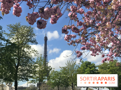 Visuel Paris, Tour Eiffel printemps