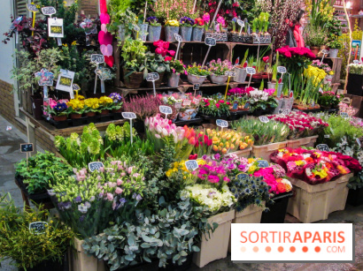 Visuel Paris marché d'Aligre fleurs