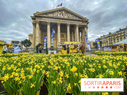 Une Jonquille pour Curie au Panthéon