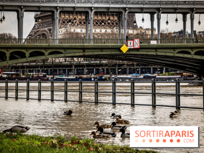 La Seine en crue février 2021