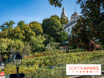 Montmartre Paris - fete des vendanges