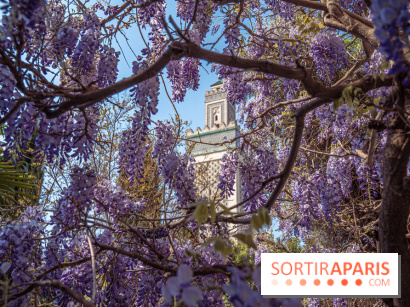La Mosquée de Paris et son jardin en fleurs