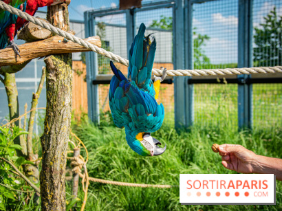 Parrot World, le parc animalier immersif d'Île-de-France
