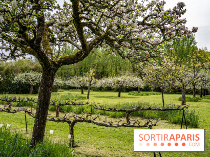 Le Château de Saint-Jean de Beauregard et son Jardin remarquable