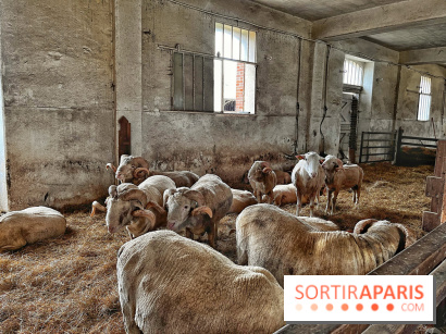 Le Château de Rambouillet et sa Bergerie nationale, un domaine d'exception en Ile-de-France