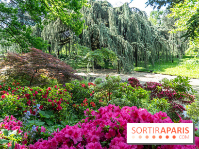 Arboretum de la Vallée-aux-Loups, une balade au milieu des arbres remarquables - A7C07775