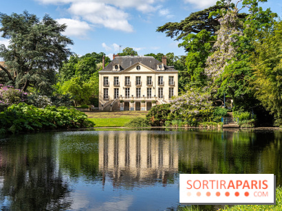 Arboretum de la Vallée-aux-Loups, une balade au milieu des arbres remarquables - A7C07755