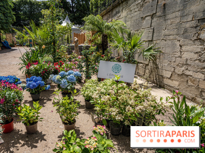 Jardins jardin aux Tuileries 2022