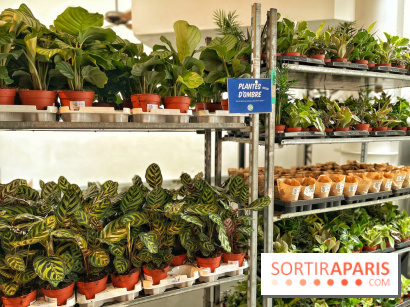 Plantes pour Tous, les prochaines ventes de plantes à partir de 2€ à Paris