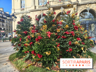Noël Paris visuels - cadeau - sapin - Marché de Noël - cadeau de Noël - décoration - Mairie 11e