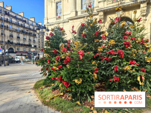 Noël Paris visuels - cadeau - sapin - Marché de Noël - cadeau de Noël - décoration - Mairie 11e
