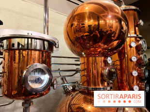 Atelier création de gin à la distillerie Baccae