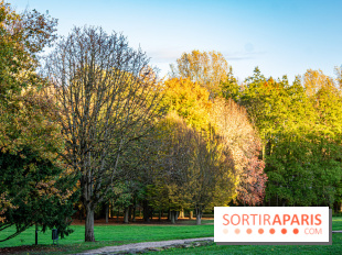 Abbaye de Maubuisson visuels