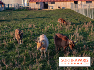 Fermes de Gally - Saint Denis - ED9AAD72 02C7 4C56 B502 2B079F42EDDF