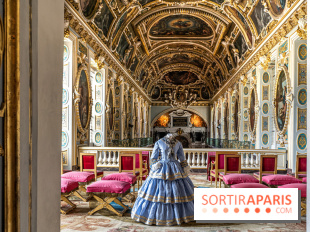 Château de Fontainebleau - Napoléon III et Eugénie -  A7C3938 HDR